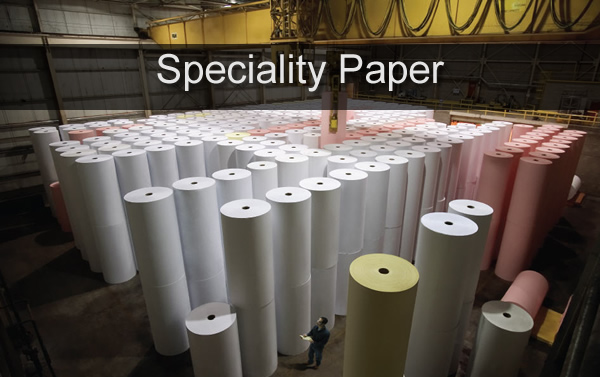 specialpaper